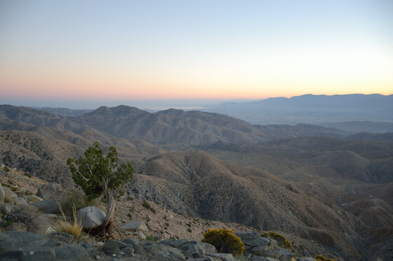 Joshua Tree National Park