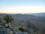 Joshua Tree National Park