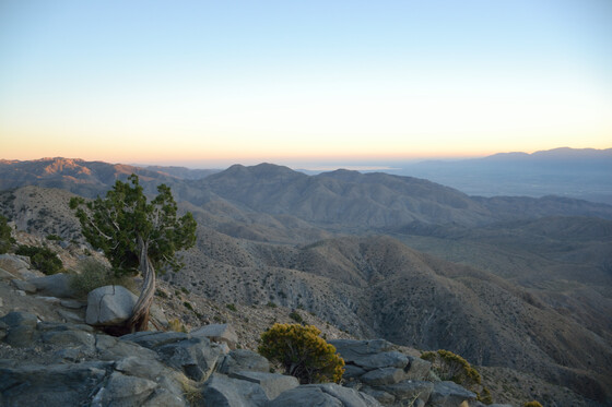 Joshua Tree National Park
