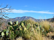 Santa Rosa and San Jacinto National Monument
