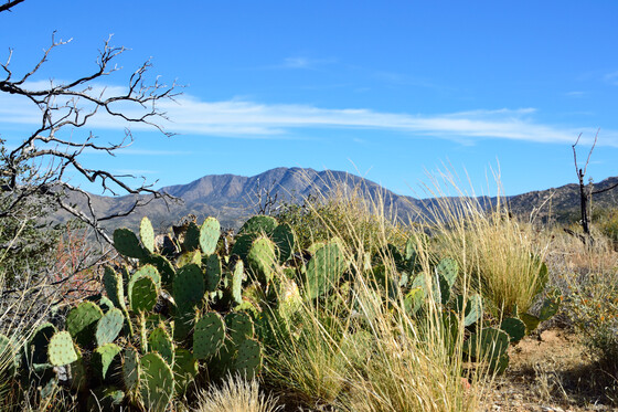 Santa Rosa and San Jacinto National Monument
