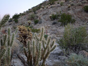 Santa Rosa and San Jacinto National Monument
