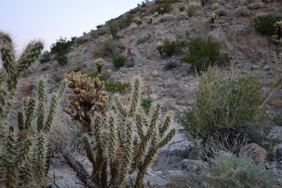 Santa Rosa and San Jacinto National Monument