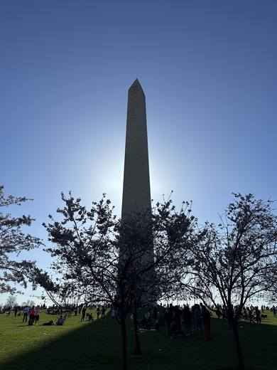 Washington Monument