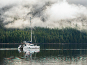 Sailing in the Great Bear Rainforest