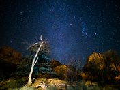 Zion National Park