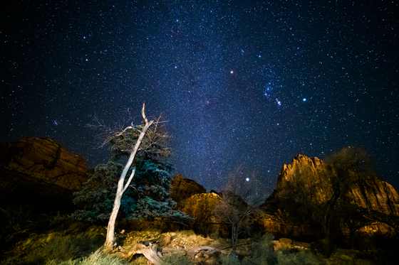 Zion National Park