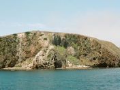 Channel Islands National Park