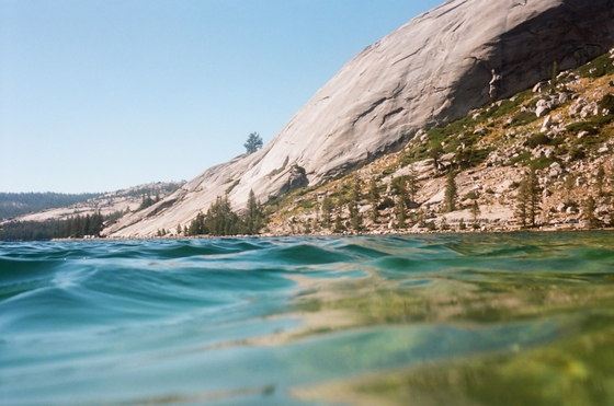 Yosemite National Park