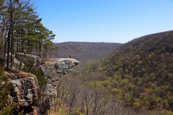 Ozark - St. Francis National Forest