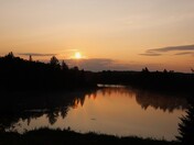 Superior National Forest