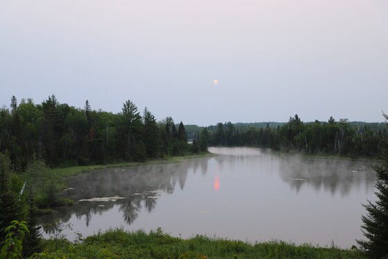 Superior National Forest
