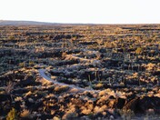 Valley of Fires Recreation Area