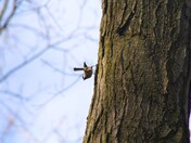 Defining gravity