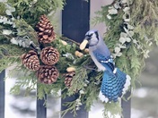 In the Christmas Spirit