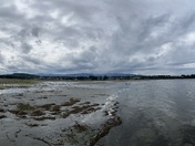 Treasures revealed at low tide