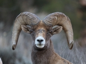 Zion National Park
