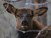 Grand Canyon National Park