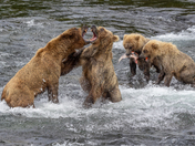 Katmai National Park