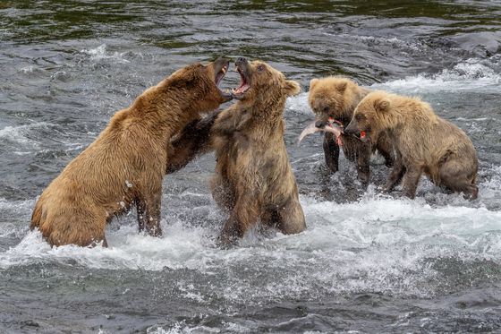 Katmai National Park