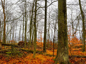 Stick season continues