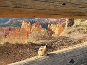 Bryce Canyon National Park