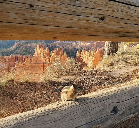 Bryce Canyon National Park