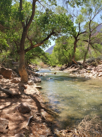 Zion National Park