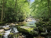 Great Smoky Mountains National Park