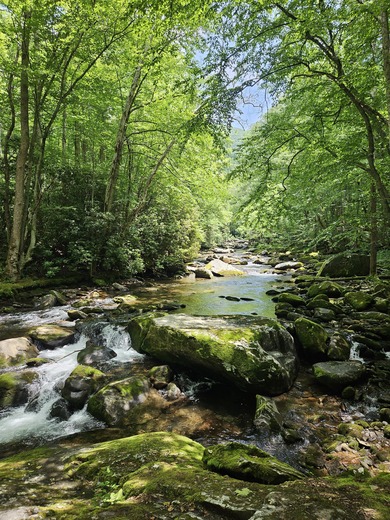 Great Smoky Mountains National Park
