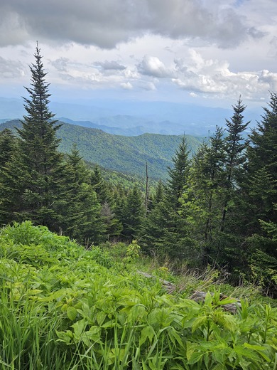 Smoky Mountain National Park