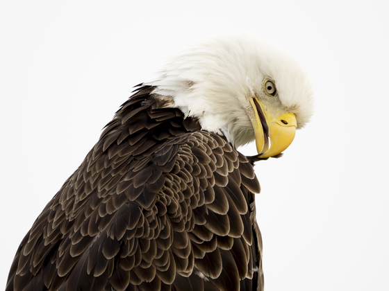 Bombay Hook National Wildlife Refuge