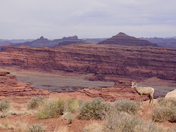 Canyonlands National Park
