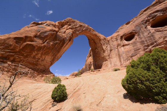 Corona Arch