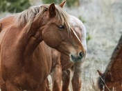 Can’t take me away…