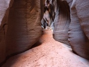 Bureau or Land Management, Buckskin Gulch