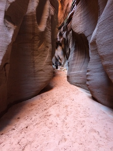 Bureau or Land Management, Buckskin Gulch