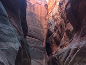 Bureau or Land Management, Buckskin Gulch