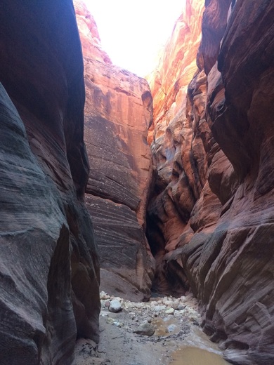 Bureau or Land Management, Buckskin Gulch
