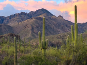 Sabino canyon