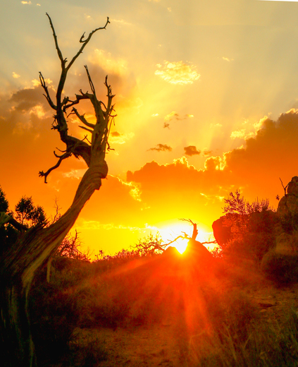 Arches national park