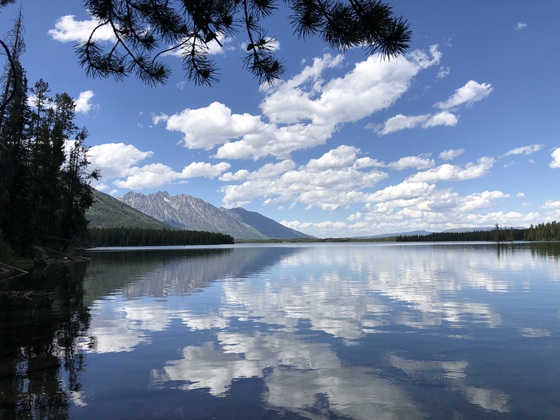 Grand Teton National Park 