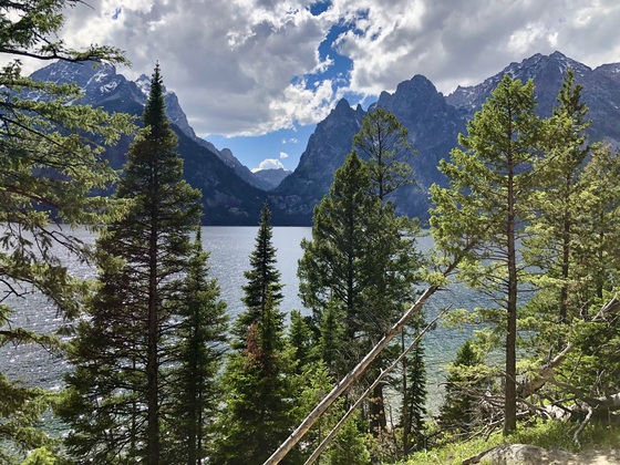 Grand Teton National Park 