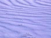 White Sands National Park
