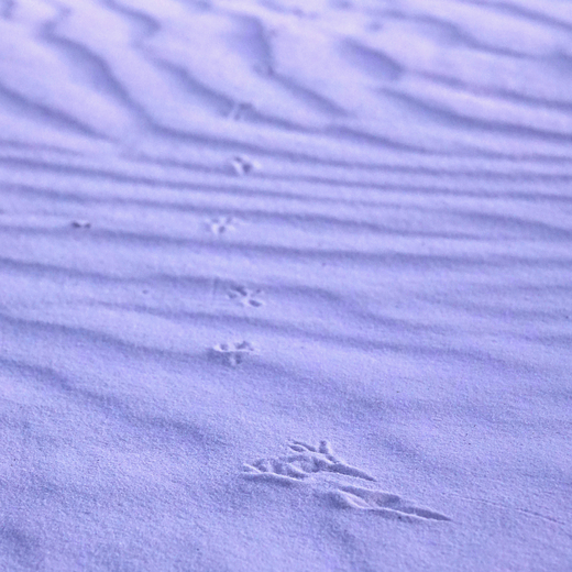 White Sands National Park
