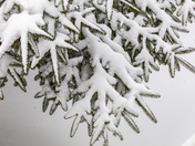 Manitoulin Blizzard (#4)