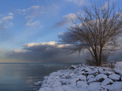 Bluffers Park, Frigid