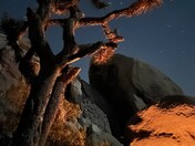 Joshua Tree National Park