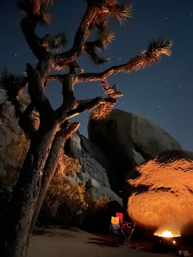 Joshua Tree National Park