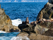 Kenai Fjords National Park